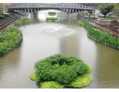 生態浮島