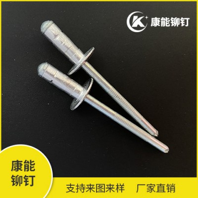 雙鼓鉚釘廠家直銷(xiāo)品質(zhì)保障 咨詢(xún)熱線(xiàn)13738803808