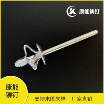 鉚釘 廠家供貨 量大從優(yōu) 定購熱線13738803808