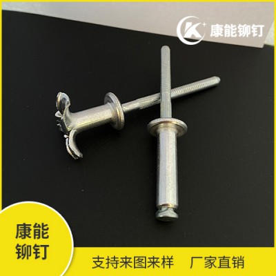 汽車拉花鉚釘 廠家直供 定購熱線13738803808